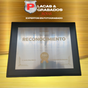 project_20240601_1946139-01