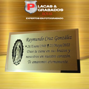 project_20241022_2155064-01